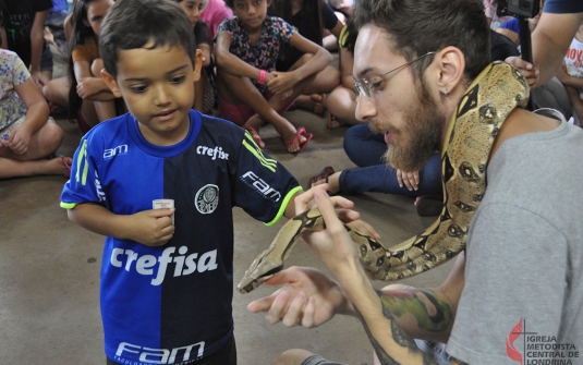 Foto Acampamento Infantil