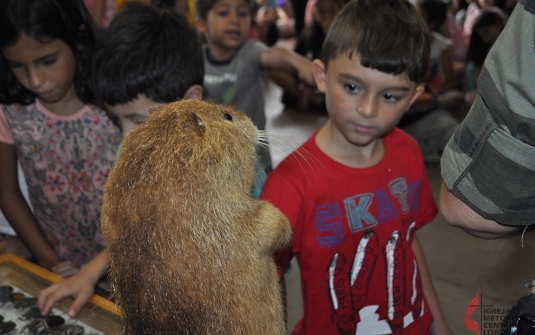 Foto Acampamento Infantil