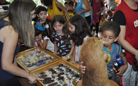 Foto Acampamento Infantil