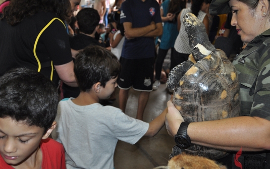 Foto Acampamento Infantil