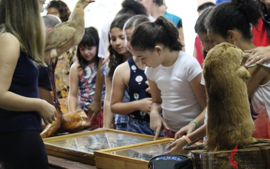 Foto Acampamento Infantil